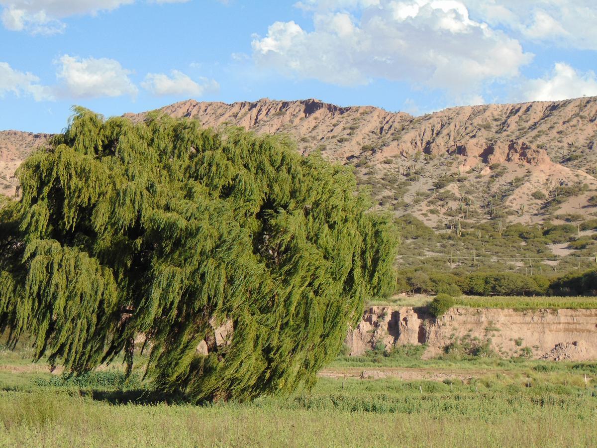 El Churqui Humahuaca Zewnętrze zdjęcie