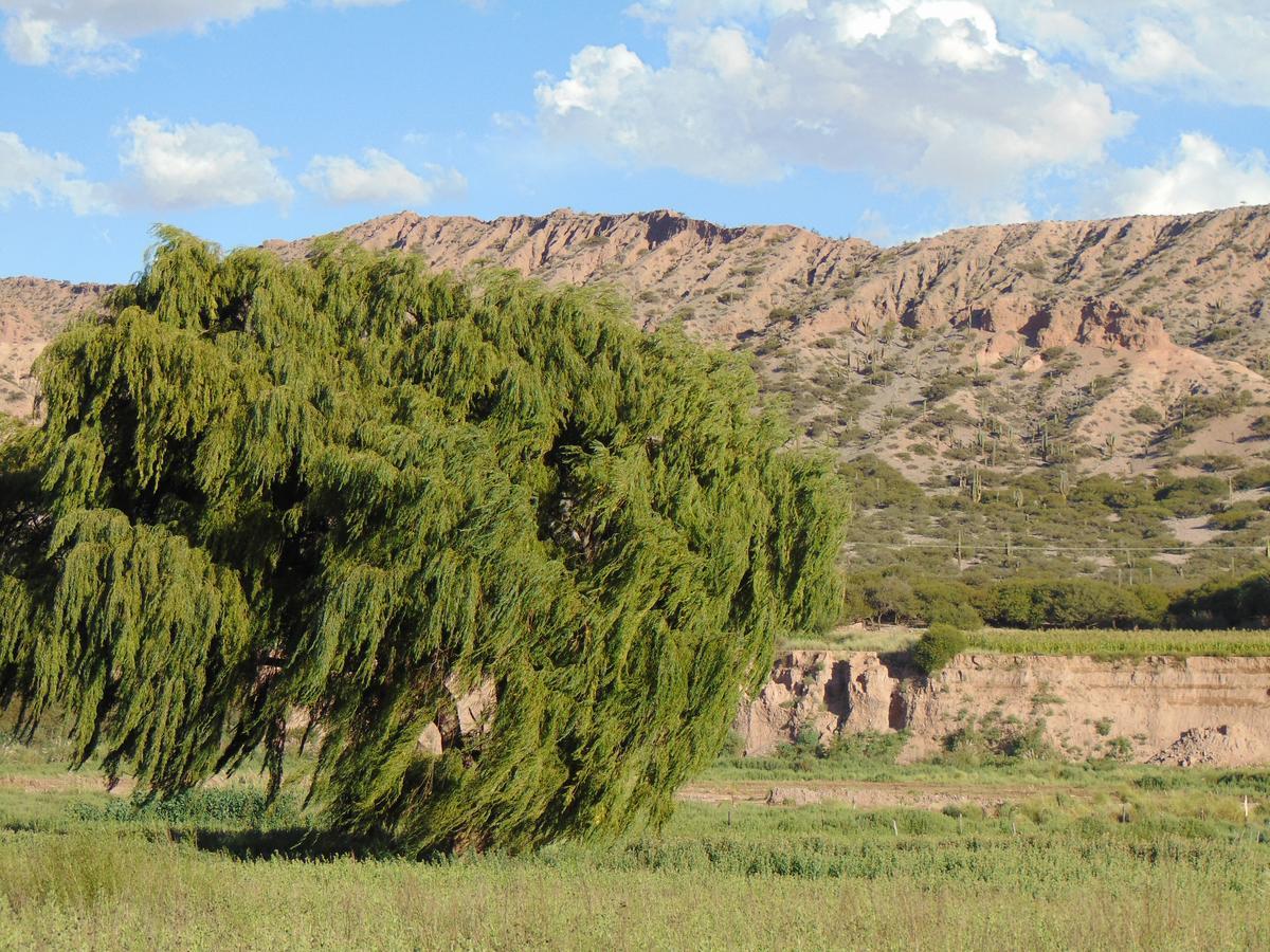 Willa El Churqui Humahuaca Zewnętrze zdjęcie